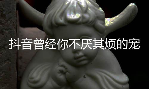 版歌抖音歌 宠着词曾经厌其黑你不什么色我是完整烦的