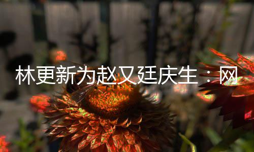 都是丑照新为献的林更赵又原来廷庆生网上我贡